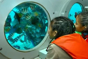 Jendela kaca di Odyssey Submarine Bali