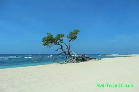 Objek wisata pantai Sawangan
