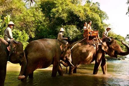 Wisata naik gajah di Bali Zoo Park