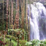 Objek wisata Air Terjun Munduk di Buleleng