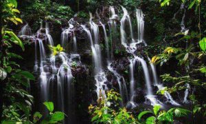 Objek wisata air Terjun Banyu Amerta Wanagiri