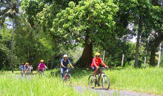 Wisata naik sepeda di Ubud Bali