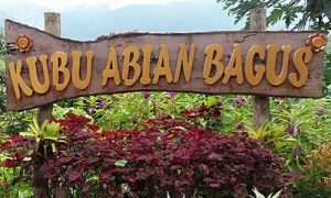 Objek wisata terbaru Kubu Abian Bagus di desa Bila Tua Buleleng