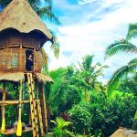 Firefly Eco Lodge – Rumah Bambu di Ubud