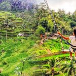 Tegalalang - swing tour di Bali