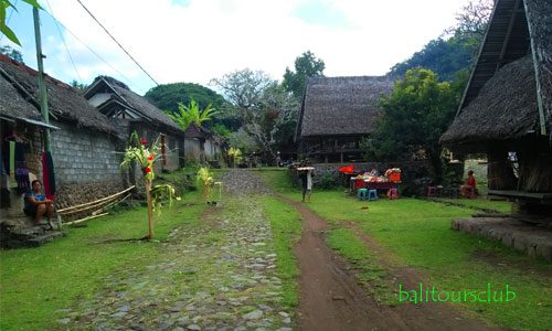 Desa unik di Bali