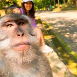 Foto selfie bersama monyet di Monkey forest Ubud